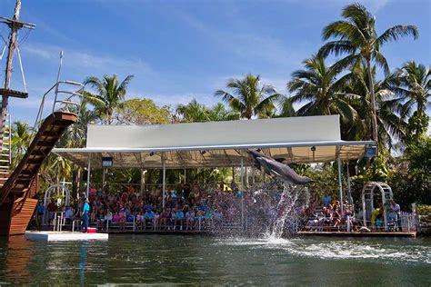 Theatre of the sea - General Admission – Dolphin Shows, Sea Lion Shows, Parrot Shows! Show Schedule. Check the show schedule to plan your day at the park. Animal Interactions. Meet and …